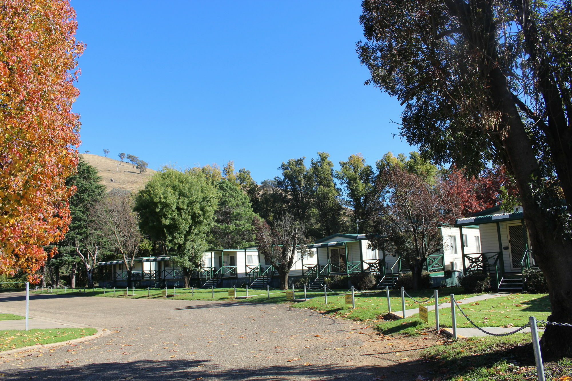 Gundagai Cabins&Tourist Park Bagian luar foto