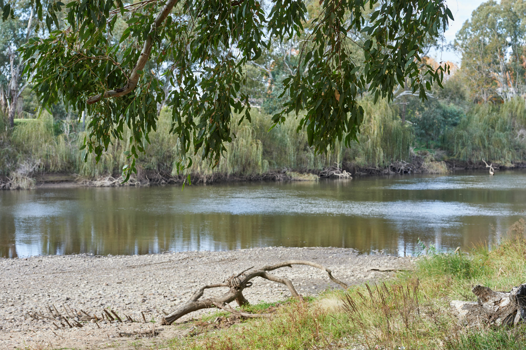 Gundagai Cabins&Tourist Park Bagian luar foto